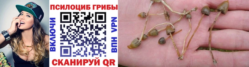 Псилоцибиновые грибы ЛСД  Грайворон 
